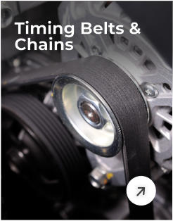 Timing Belts & Chains