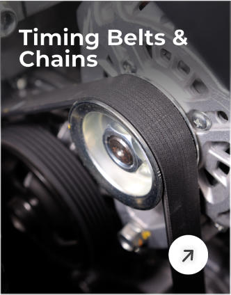 Timing Belts & Chains