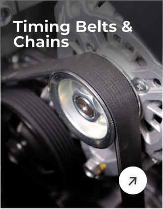 Timing Belts & Chains