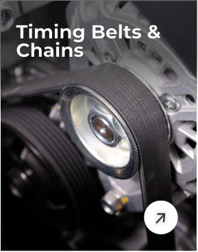 Timing Belts & Chains