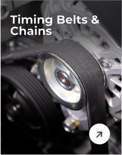 Timing Belts & Chains